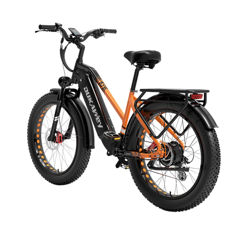 LankeLeisi Dukawey DM530 Plus elektrische fiets 