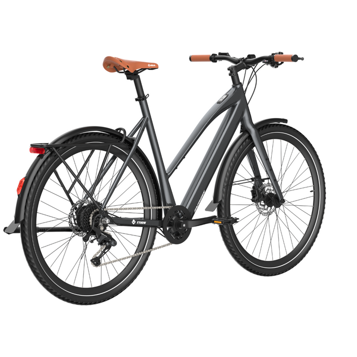 Fafrees F700W Electric Bike