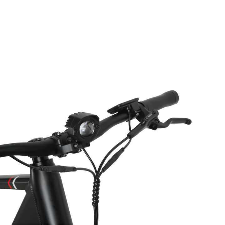 Miyazaka GC1995 Electric Bike