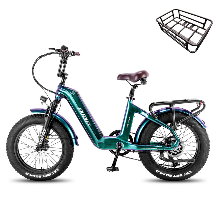 Fafrees F20 Master Electric Bike