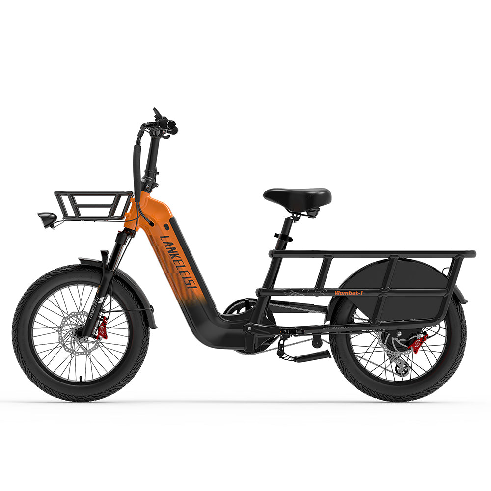 LankeLeisi Wombat-1 Electric Bike