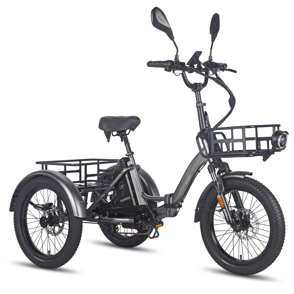 Fafrees F20 Mate Electric Bike