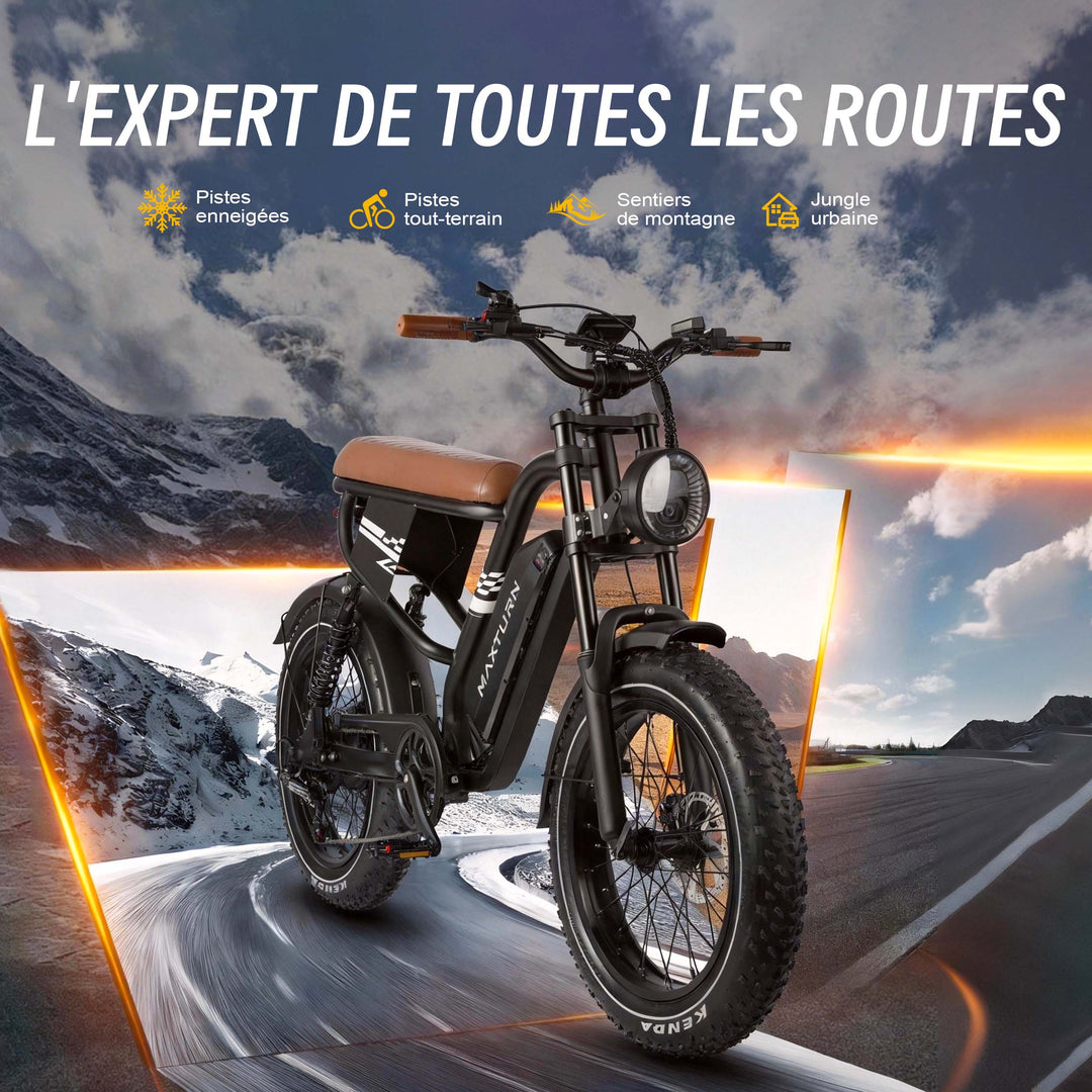 MAXTURN MX10 Electric Bike 48V 13Ah 500W Peak Motor Recommended Top Speed 25KM/H(45KM/H no limite) 20*4.0inch Tires 80-100KM Max Range 180KG Max Load Electric Bicycle