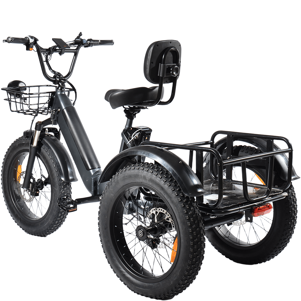 PULUMA SL001 Electric Tricycle
