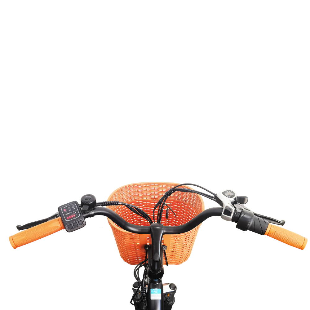 TTGO YY-26ST (C2) ELECTRIC BIKE