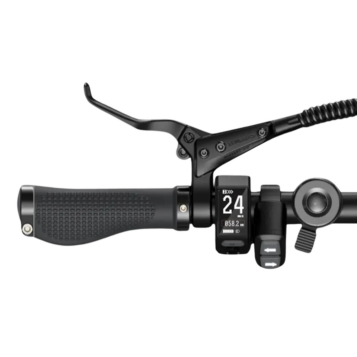 ENGWE P20 Electric Bike