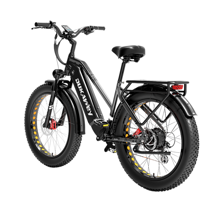 LankeLeisi Dukawey DM530 Plus elektrische fiets 