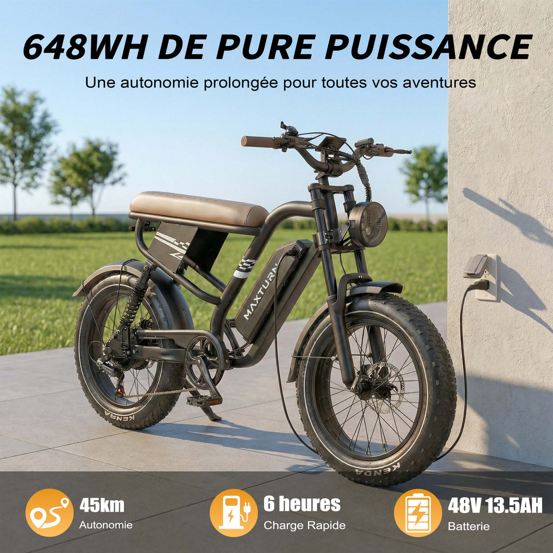 MAXTURN MX10 Electric Bike 48V 13Ah 500W Peak Motor Recommended Top Speed 25KM/H(45KM/H no limite) 20*4.0inch Tires 80-100KM Max Range 180KG Max Load Electric Bicycle