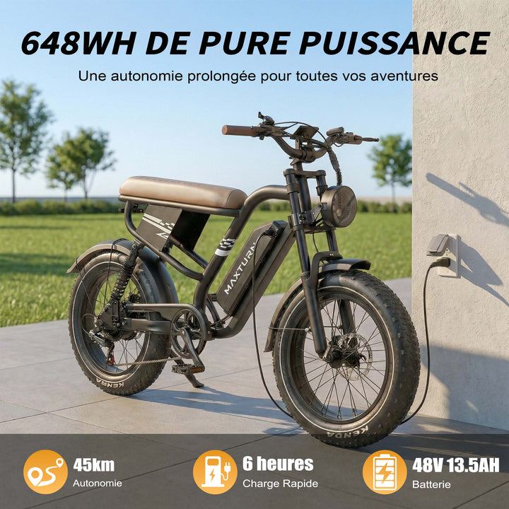 MAXTURN MX10 Electric Bike 48V 13Ah 500W Peak Motor Recommended Top Speed 25KM/H(45KM/H no limite) 20*4.0inch Tires 80-100KM Max Range 180KG Max Load Electric Bicycle