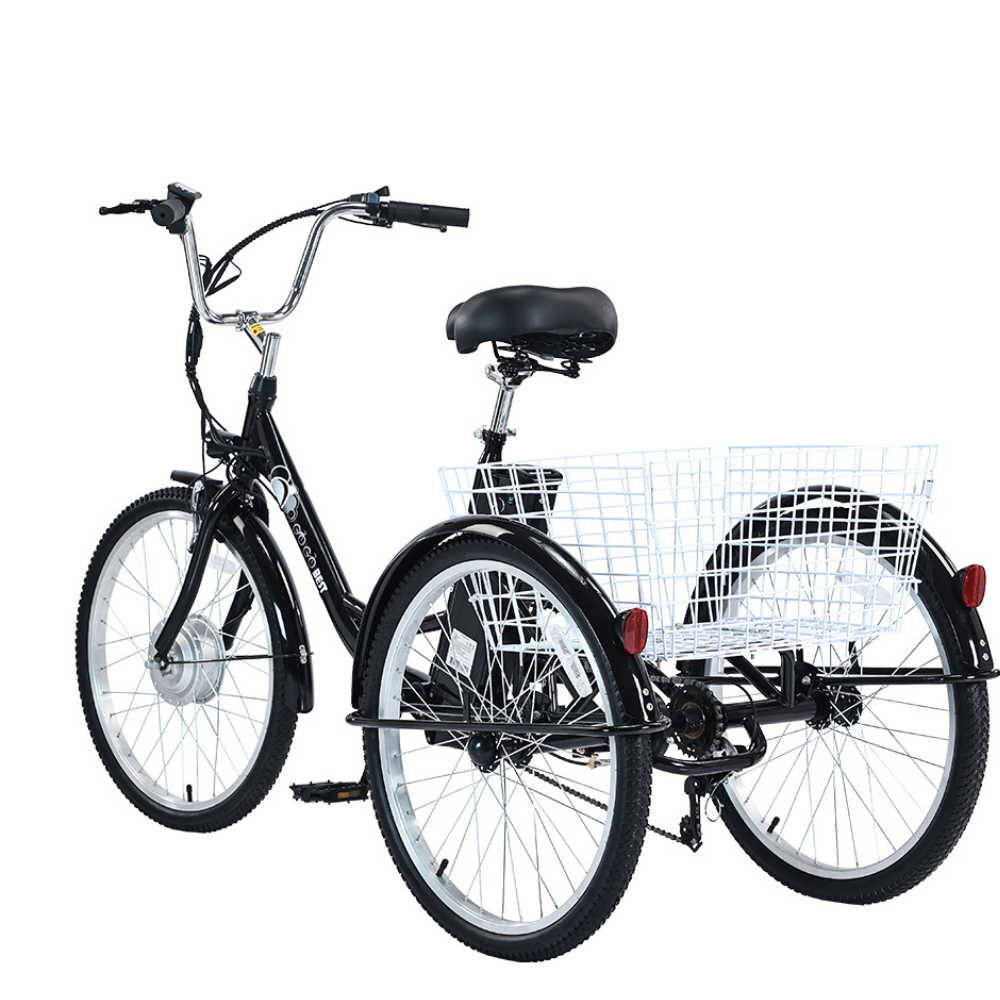 GOGOBEST GF100 Electric Tricycle