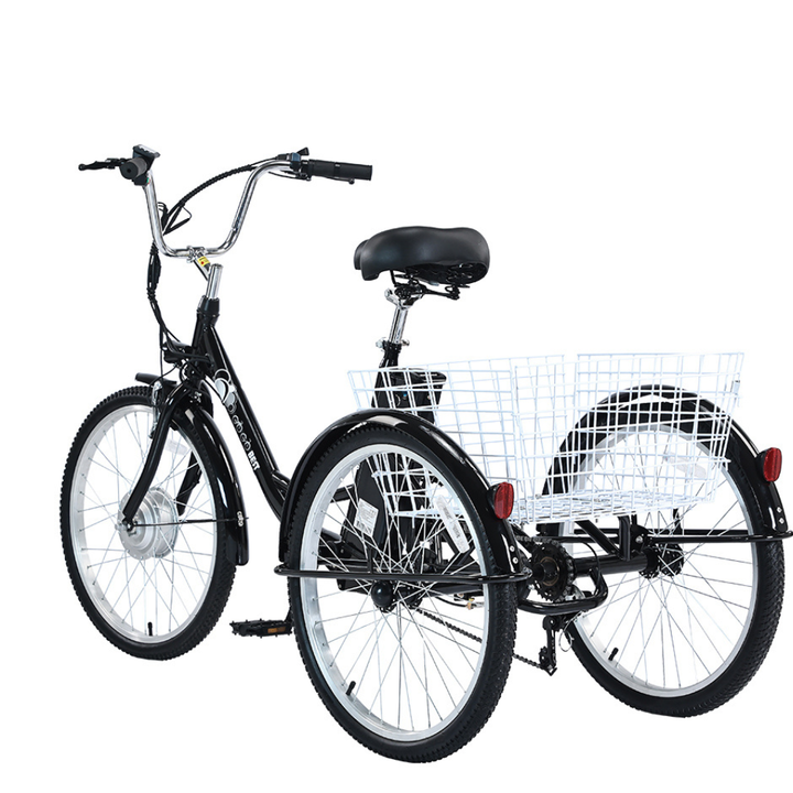 GOGOBEST GF100 Electric Tricycle