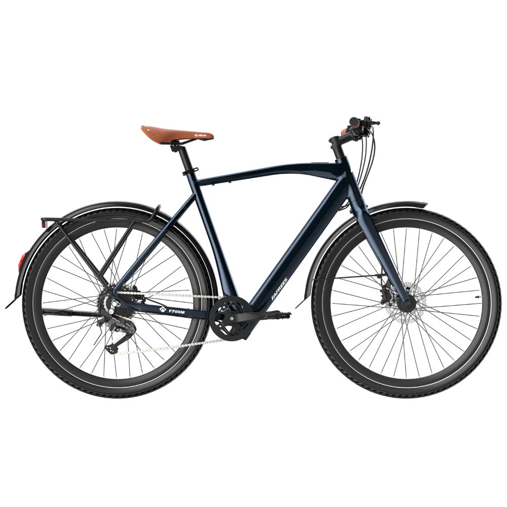Fafrees F700M Electric Bike
