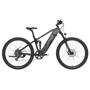 LankeLeisi RX600 PRO Electric Bike