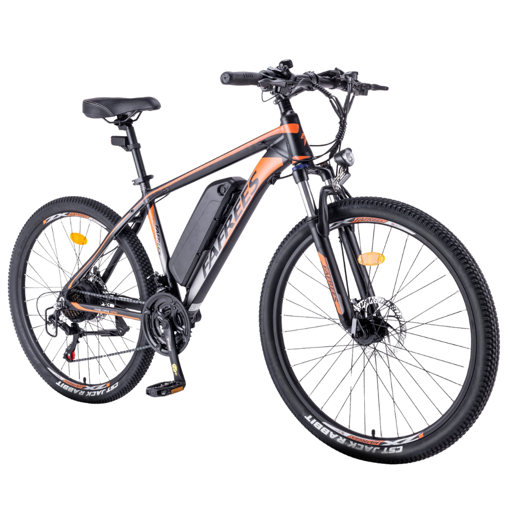 Fafrees Hailong One Electric Bike
