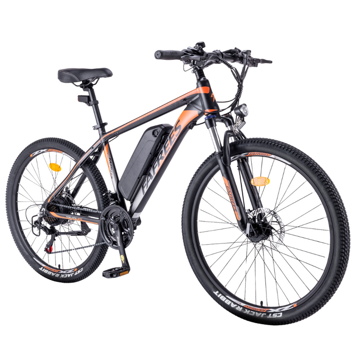 Fafrees Hailong One Electric Bike