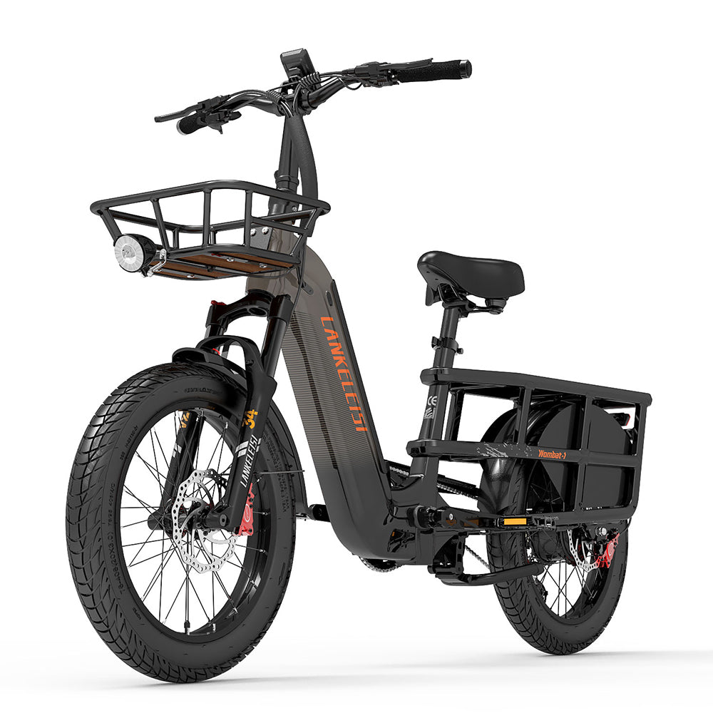 LankeLeisi Wombat-1 Electric Bike