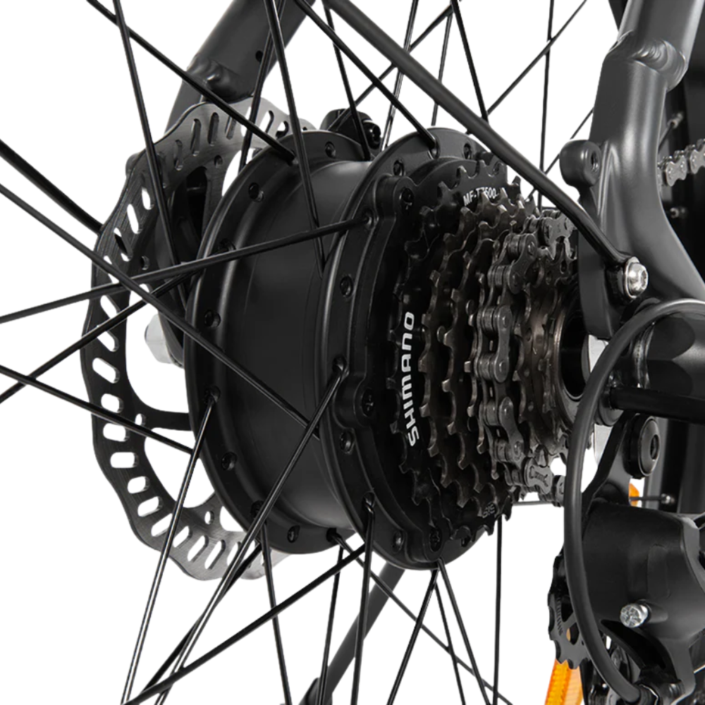 DYU C1 Electric Bike