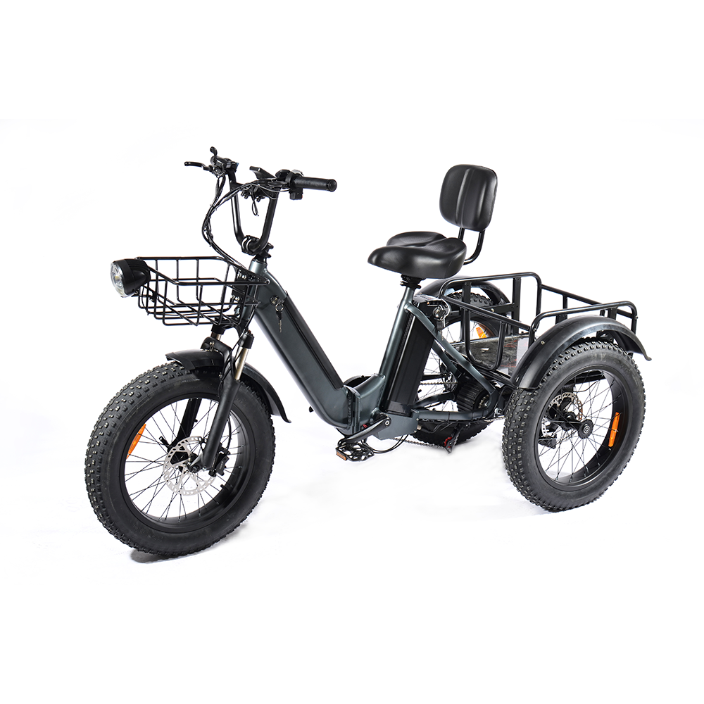 PULUMA SL001 Electric Tricycle