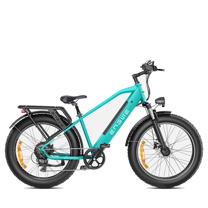 ENGWE E26 Electric Bike