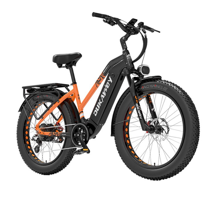 LankeLeisi Dukawey DM530 Plus elektrische fiets 