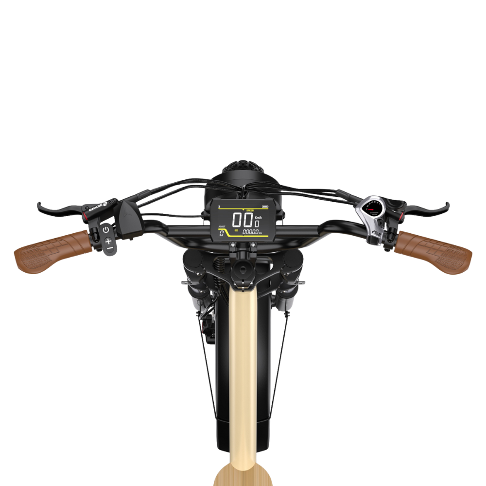 ONESPORT EBIKE W77