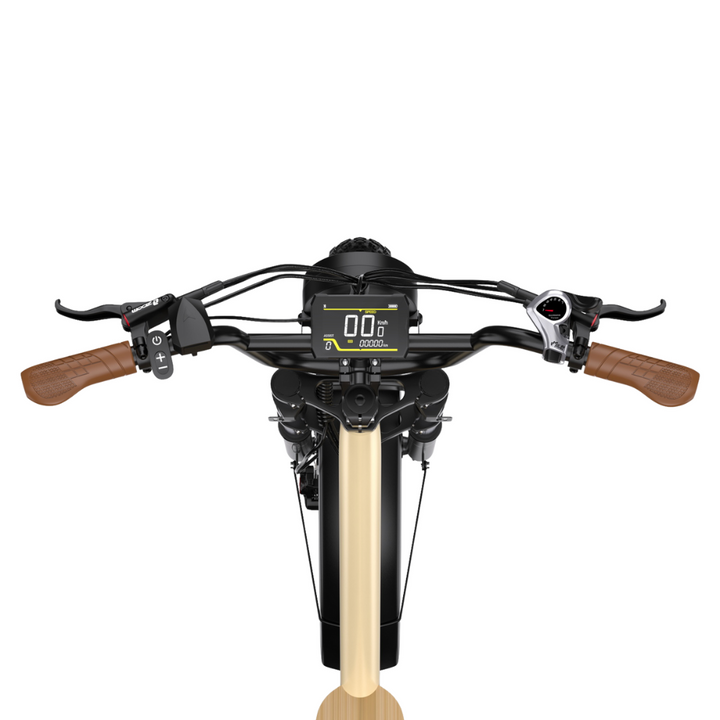 ONESPORT EBIKE W77