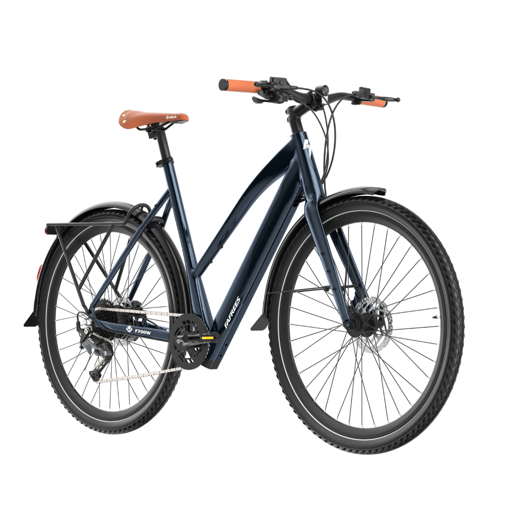 Fafrees F700W Electric Bike
