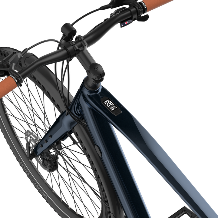 Fafrees F700M Electric Bike