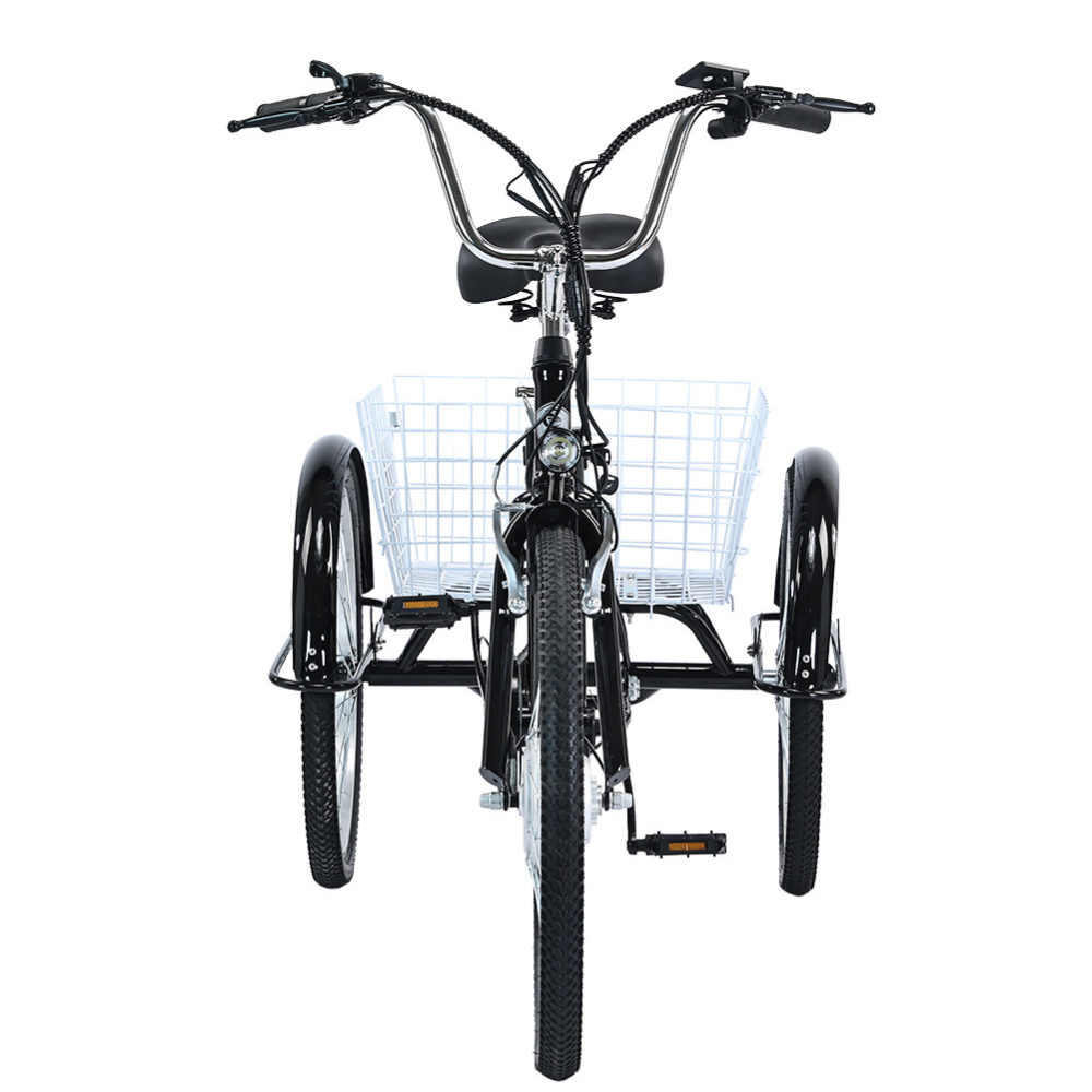 GOGOBEST GF100 Electric Tricycle