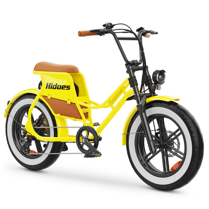 HIDOES C8 Electric Bike