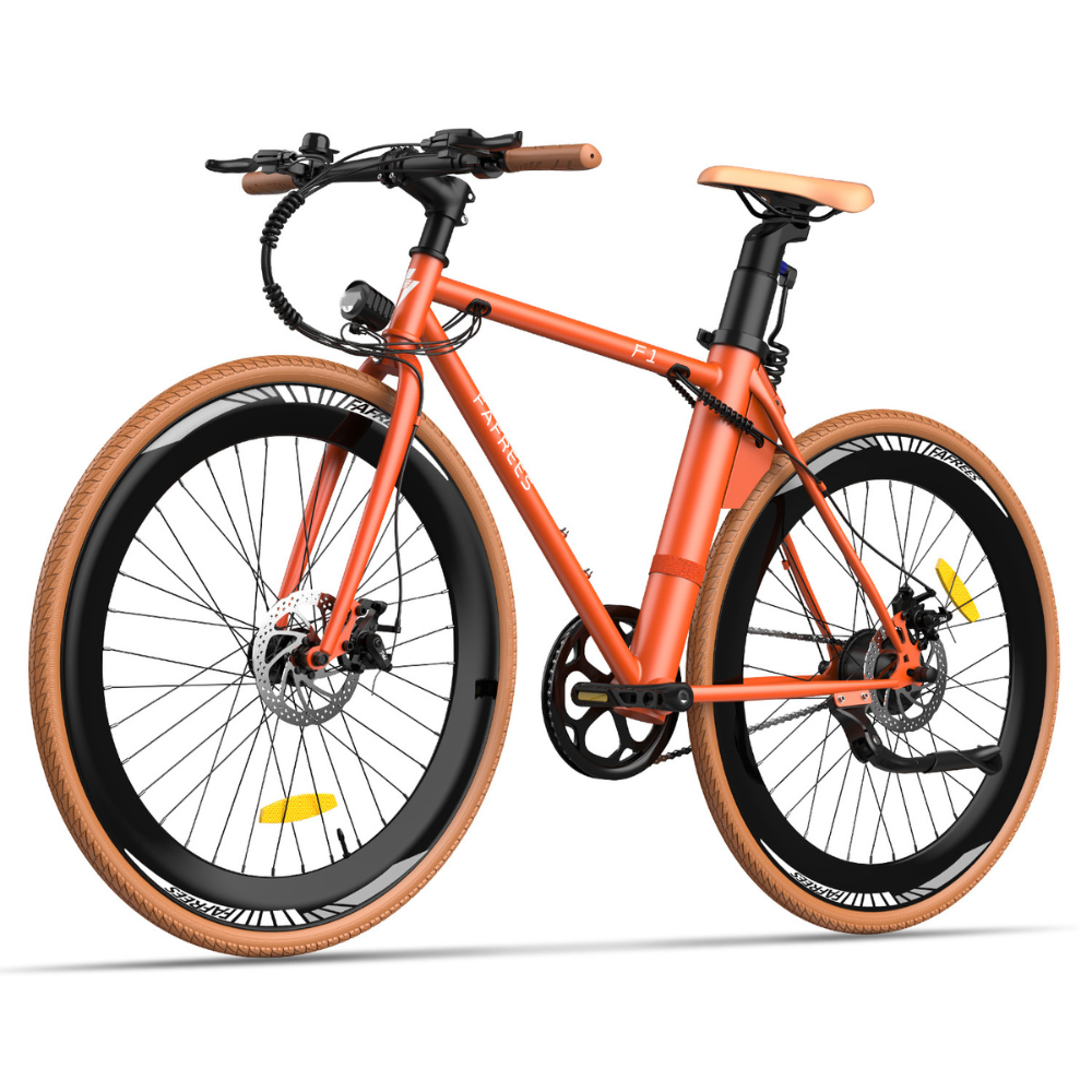 Fafrees F1 ELECTRIC BIKE