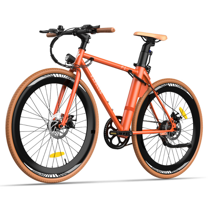 Fafrees F1 ELECTRIC BIKE
