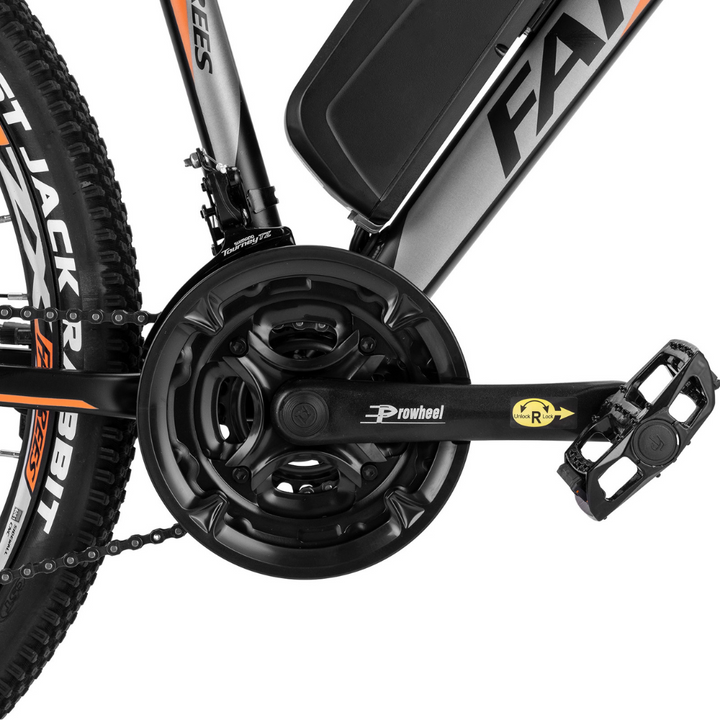 Fafrees Hailong One Electric Bike