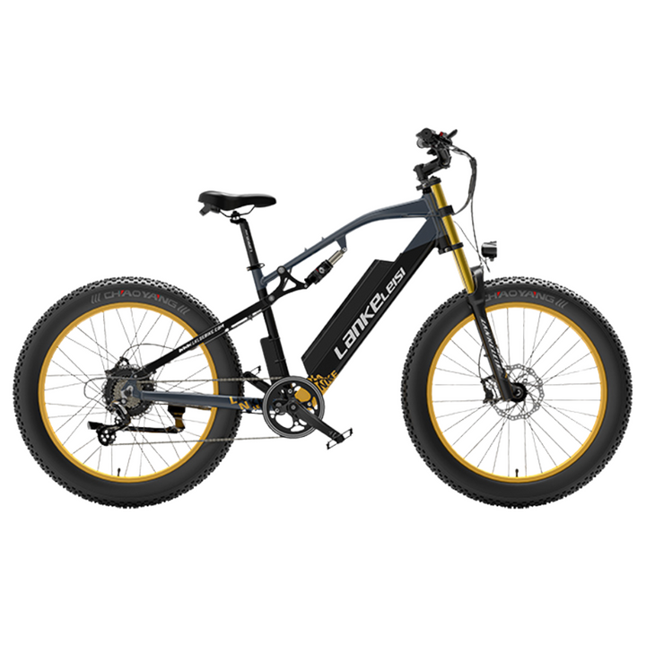 LankeLeisi RV700 Electric Bike