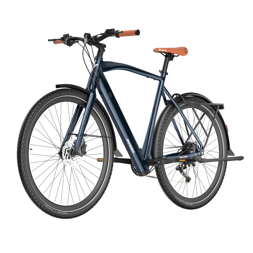 Fafrees F700M Electric Bike