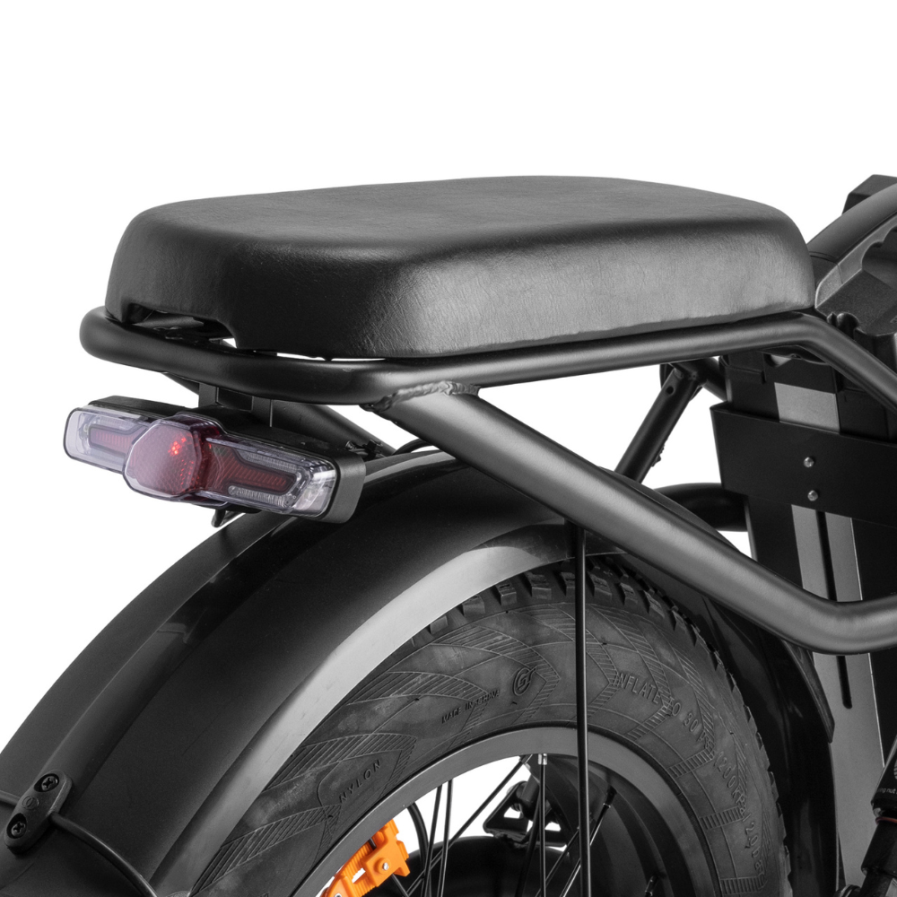 Fafrees F20 X-Max Electric Bike