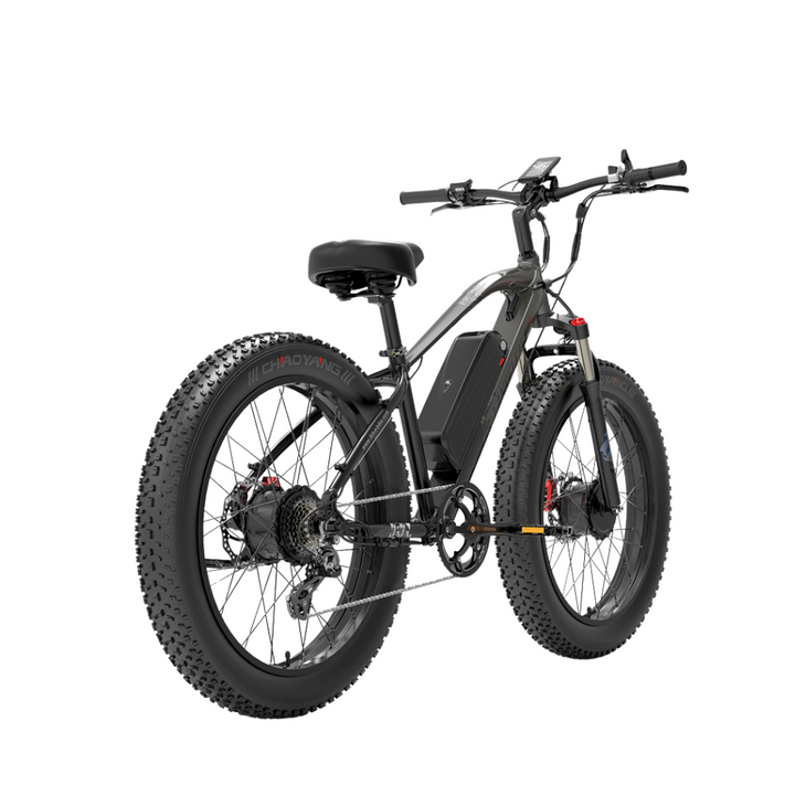 LankeLeisi MG740PLUS elektrische fiets 