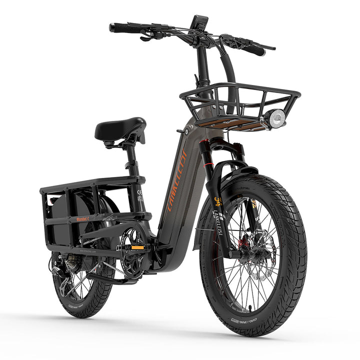 LankeLeisi Wombat-1 Electric Bike