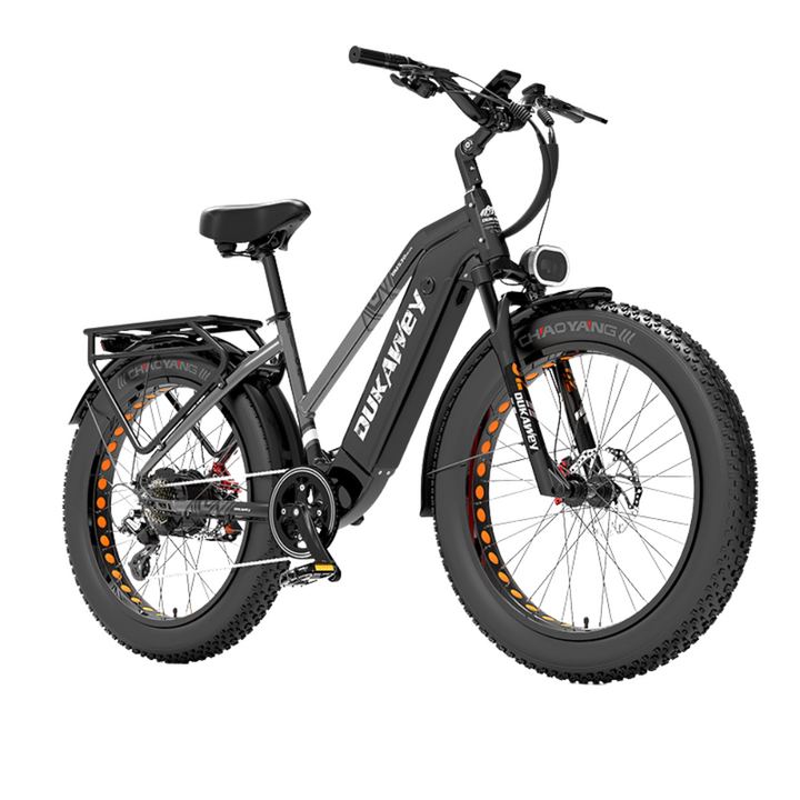 LankeLeisi Dukawey DM530 Plus elektrische fiets 