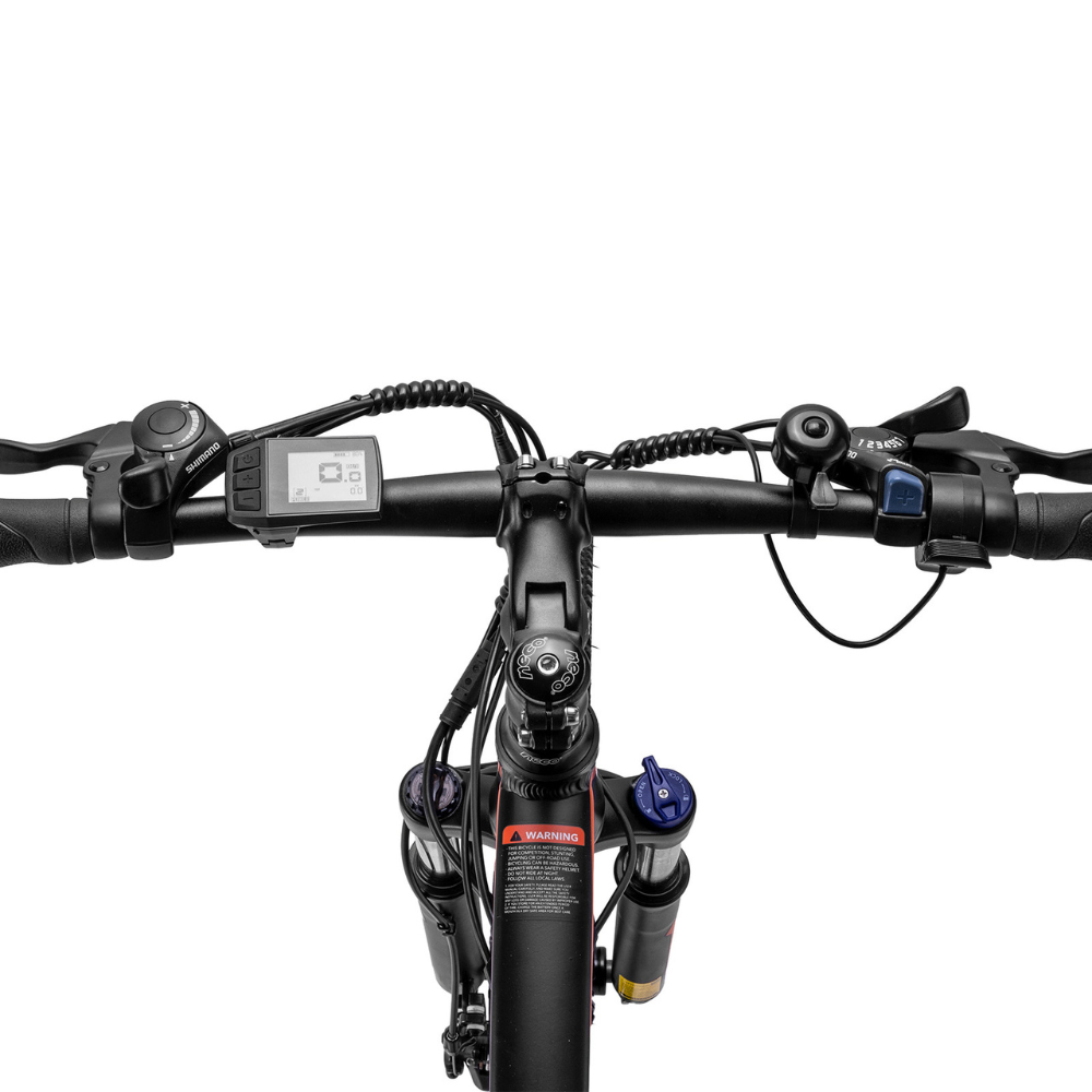 Fafrees Hailong One Electric Bike