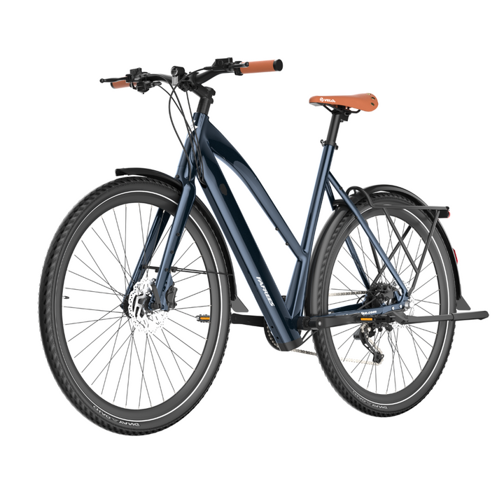 Fafrees F700W Electric Bike