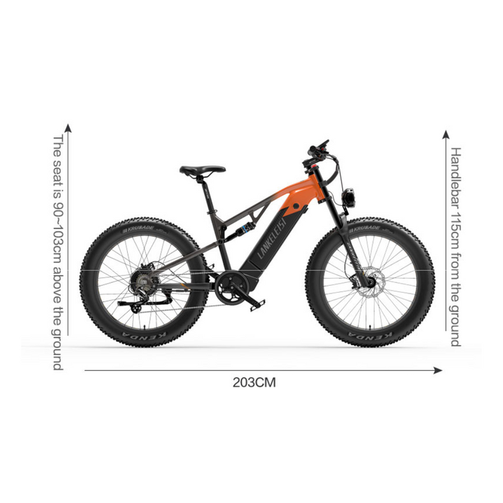 LankeLeisi RV800PLUS Electric Bike