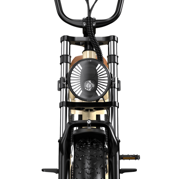 ONESPORT EBIKE W77