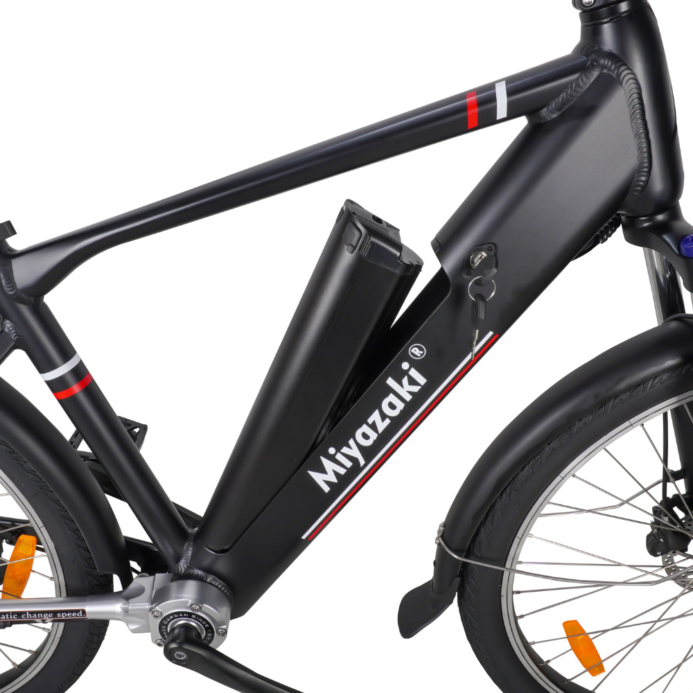 Miyazaka GC1995 Electric Bike