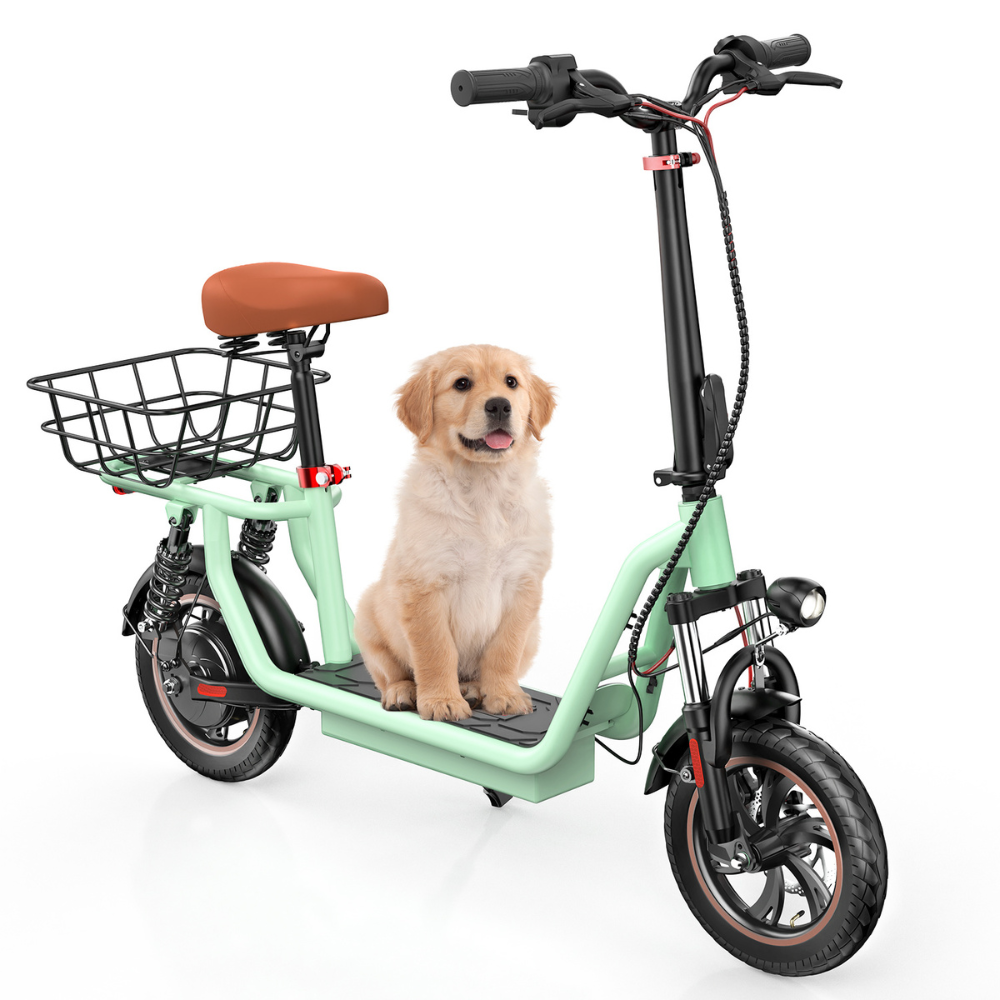 IScooter i12 Electric Scooter