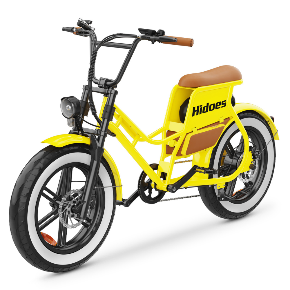 HIDOES C8 Electric Bike