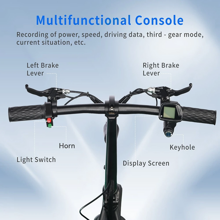 BOGIST TWOFISH M5 ELITE Electric Bike