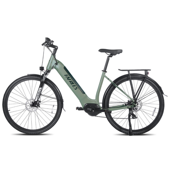 FAFREES FM9 Electric Bike