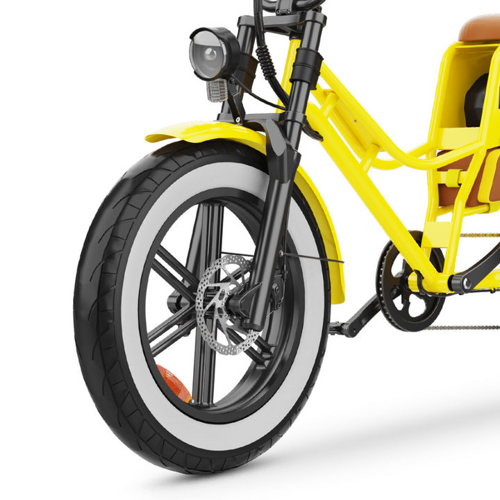 HIDOES C8 Electric Bike