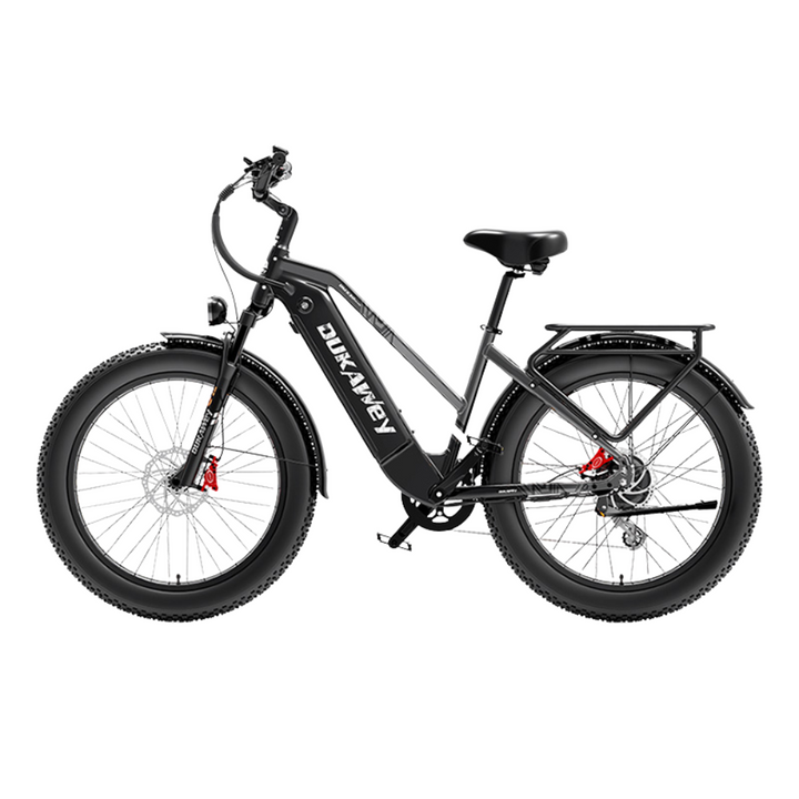 LankeLeisi Dukawey DM530 Plus elektrische fiets 